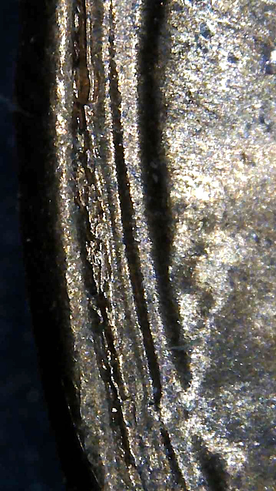 1980-P-1c-OBV-Rim-Flaw?