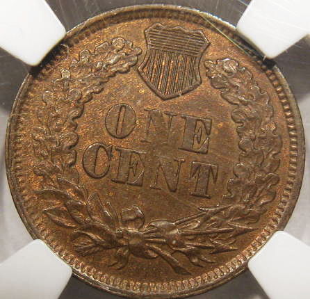 The-51-Days-Of-Indian-Head-Cents-II-With-A-Fe-Cents-Prelude