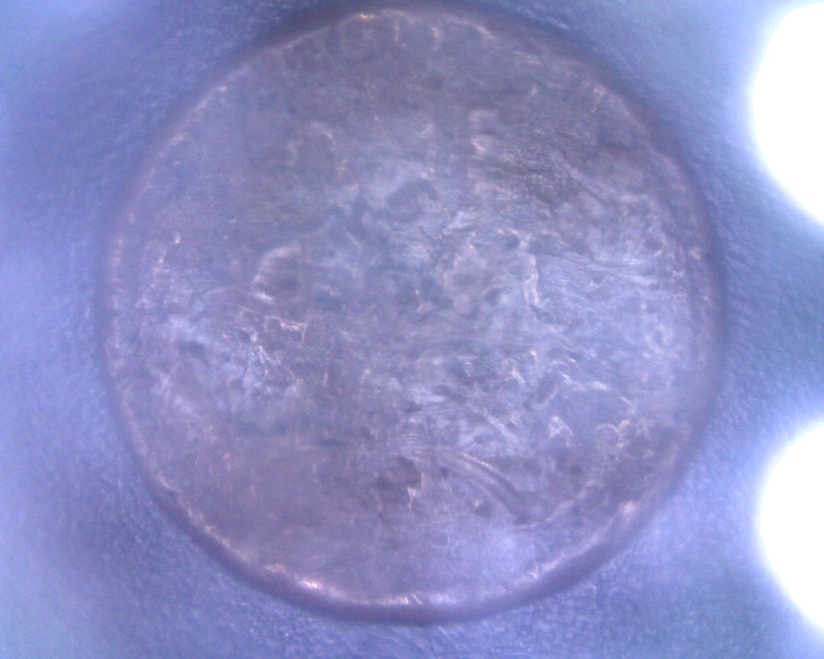 Need-Help-Identifying-Date-On-LWC.