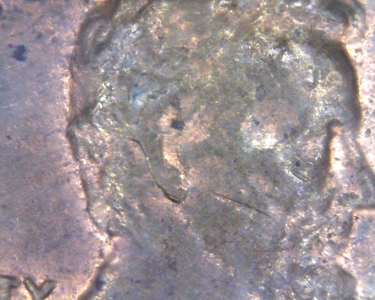 Need-Help-With-1982-D-LD-Copper-LMC.