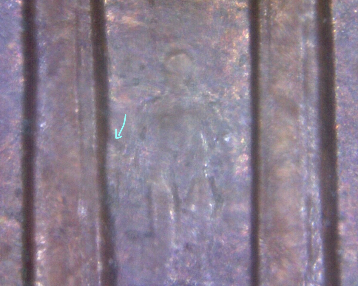 2004-LMC-Another-Minor-DDR-Found-CRH.