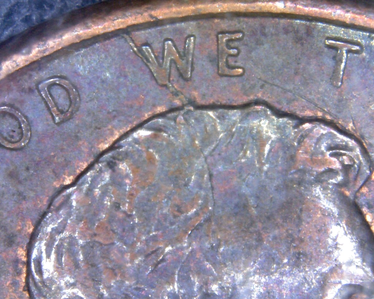 1993-LMC-Spike-Head-Found-CRH.