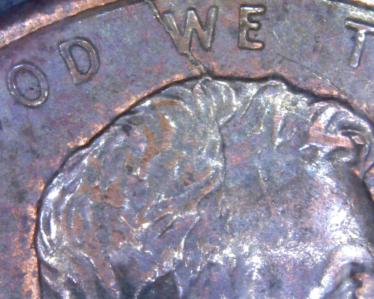 1993-LMC-Spike-Head-Found-CRH.