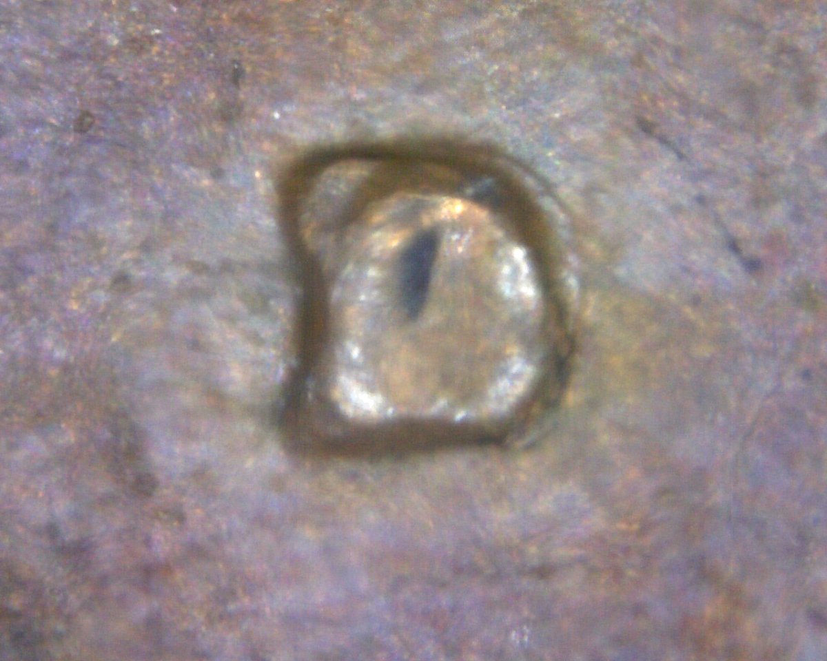 Need-Help-With-1975-D-LMC.