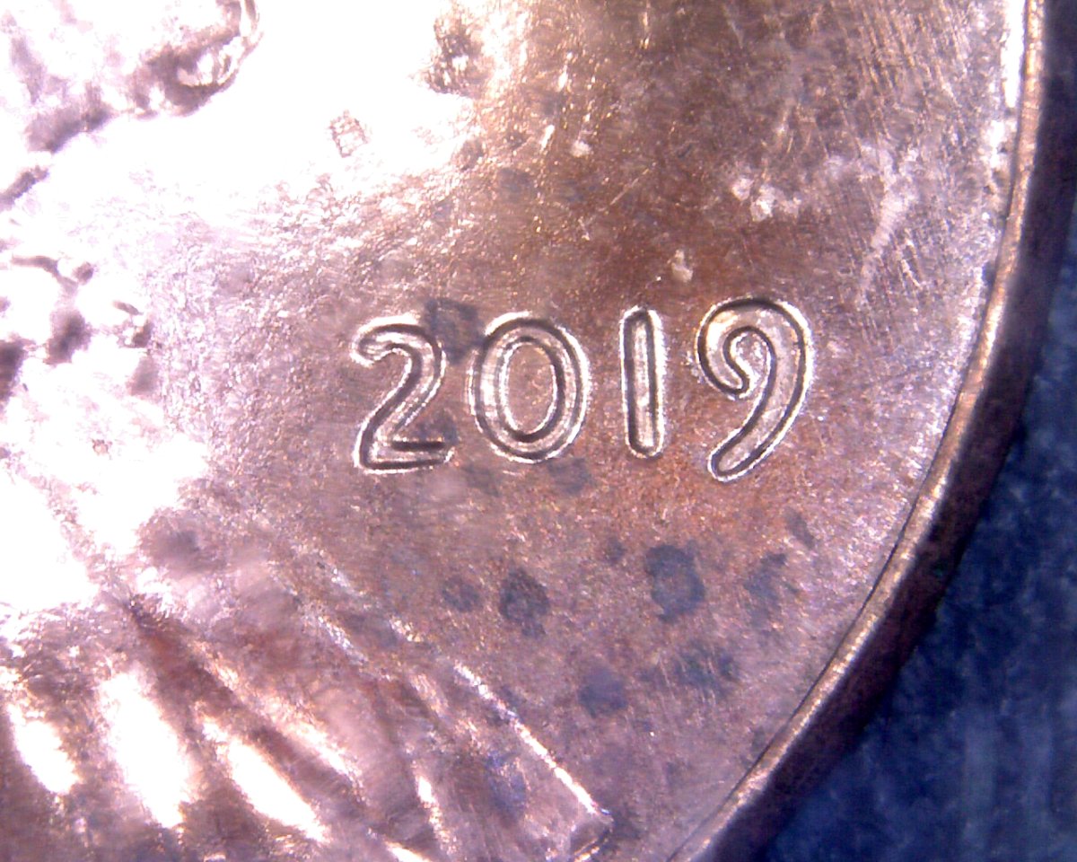 2019-LSC-Very-Early-Spike-Head