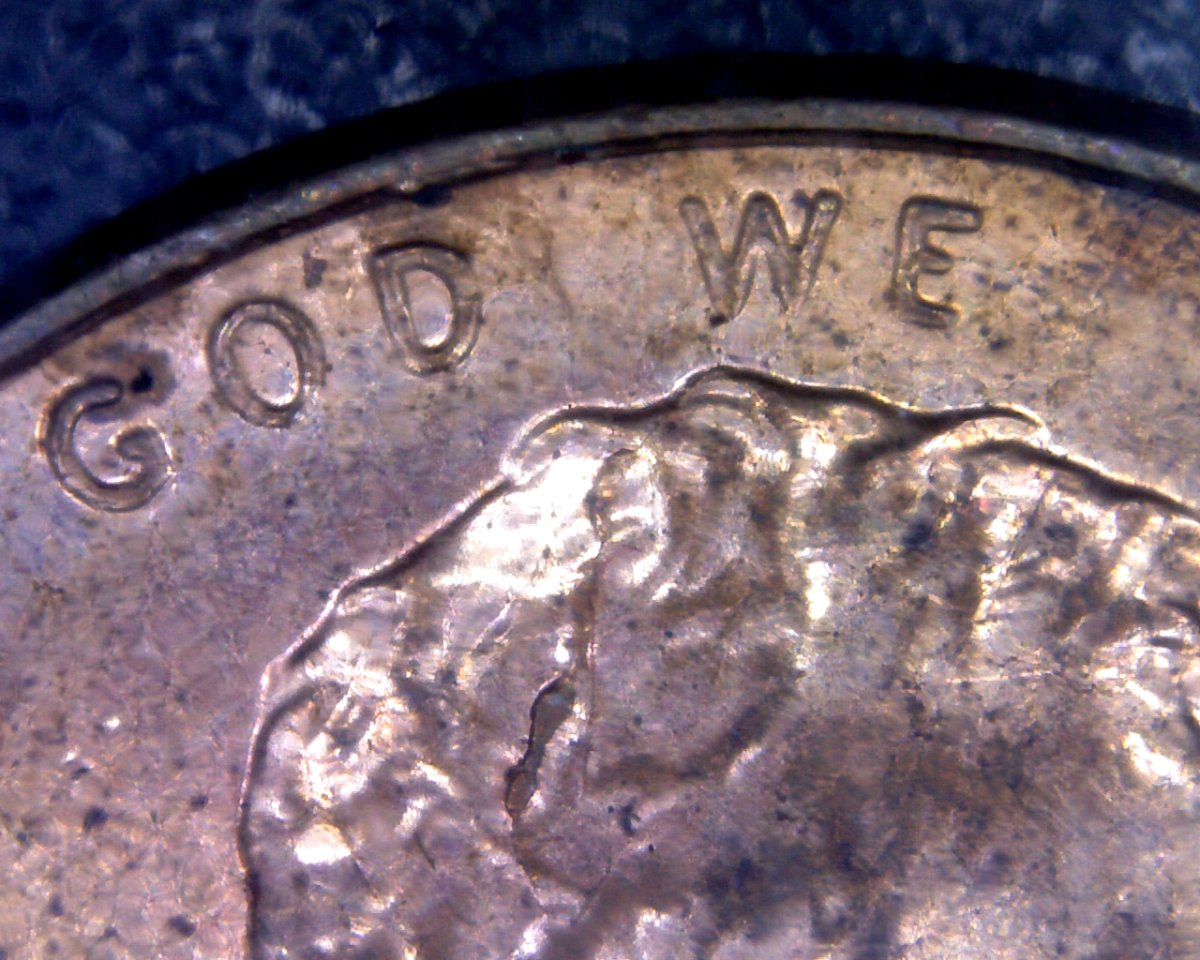 2010-LSC-Spike-Head-Found-CRH.