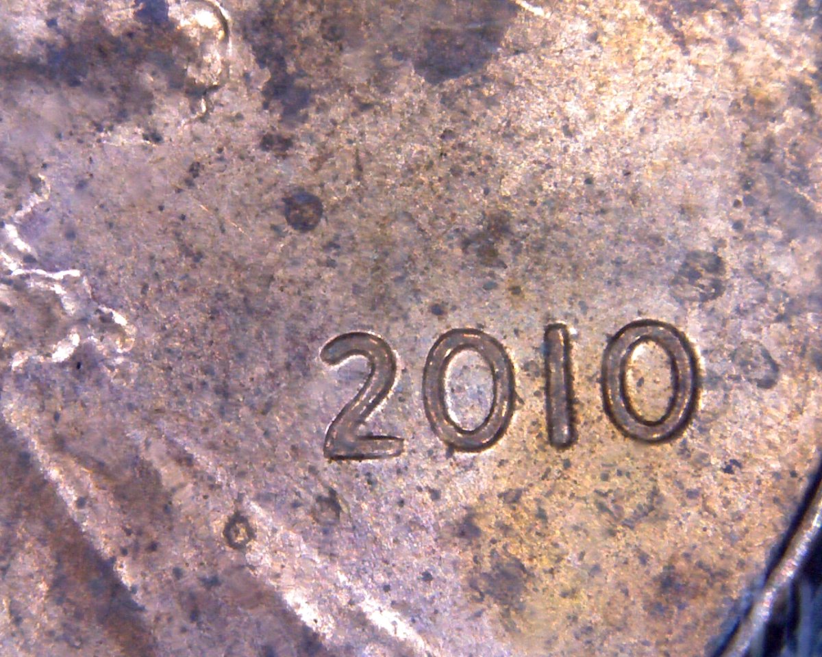 2010-LSC-Spike-Head-Found-CRH.
