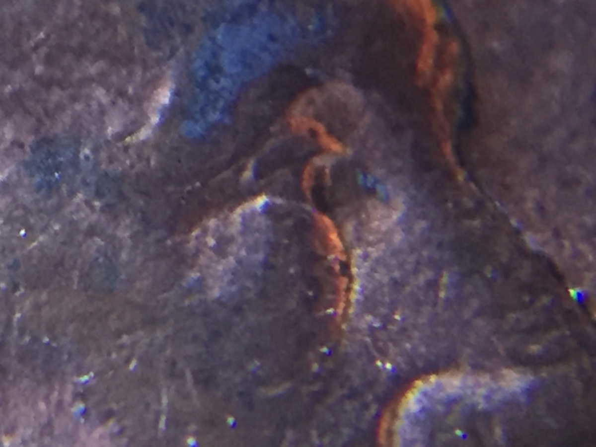 1995-D-LMC-Doubled-Eye?-Please-Help!!