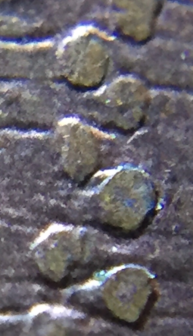 2009-D-Early-Childhood-1¢-DDR/WDDR?-Help-Please!