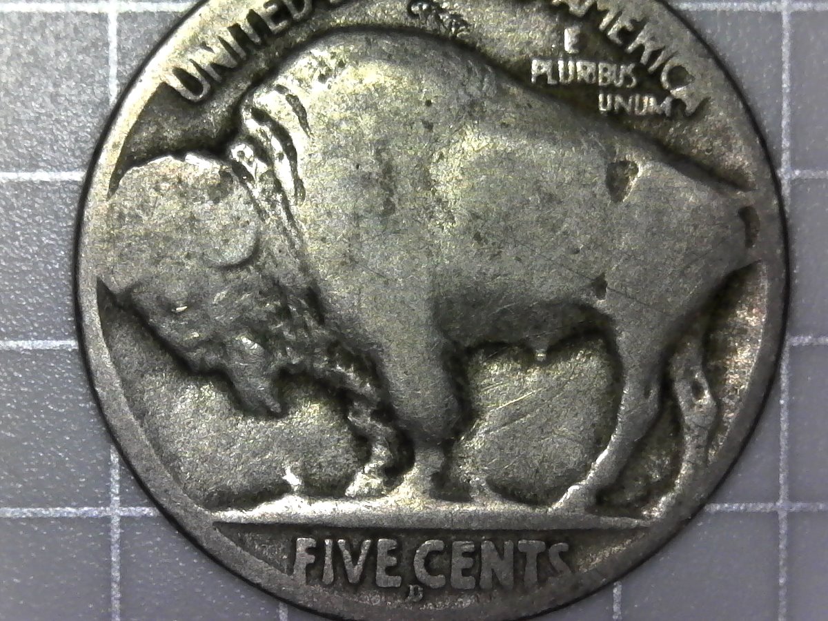 1915-D-Buffalo-Nickel-For-Grading