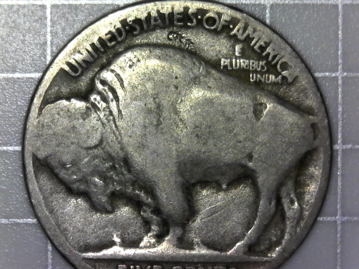 1915-D-Buffalo-Nickel-For-Grading
