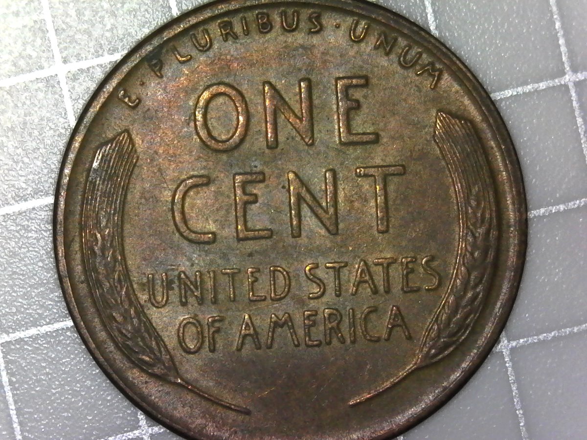 1954-S-LWC--1MM-04-From-Circulated-Wheat-Bag