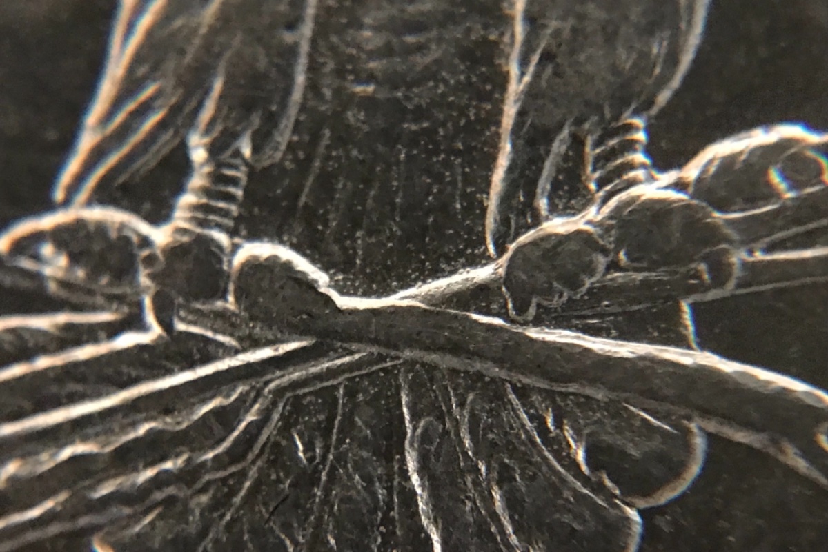 1882-O-Morgan-Dollar--VAM-21?-Cherrypicked
