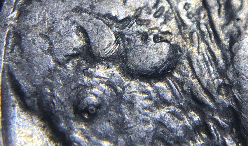 1936-Buffalo-Nickel--Grade-Please