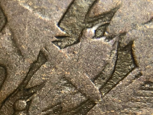 Classic-Variety-Coins--Test-Your-Attribution-Skills-On-These-5-Coins