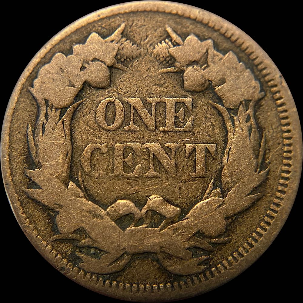 1857-Flying-Eagle-Cent--Obverse-Die-Clash-With-50c-Fs-402-Snow-9