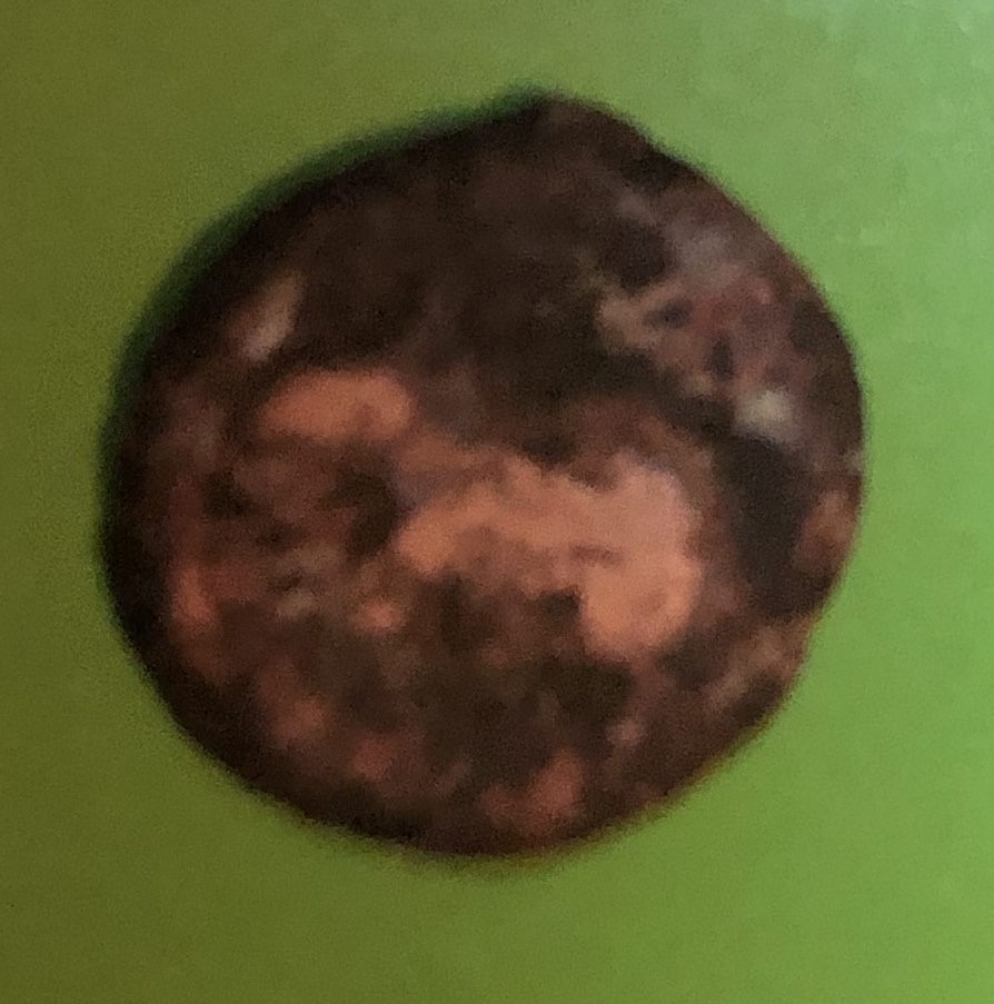Can-You-Help-Me-Identify-This-Coin-Id:-Potentially-Roman