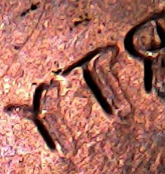 2017-P-Penny-Found-CRH