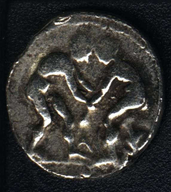 Frankly...-I-Haven't-Got-A-Clue-About-This-Coin!