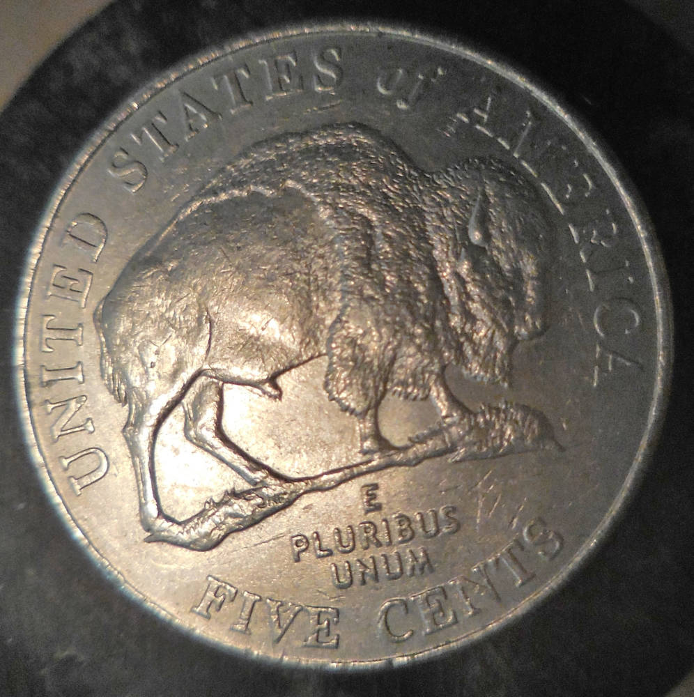 2005-P-Bison-5c-W/Strong-Obv/Rev-Clashed-Dies