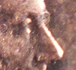 Question-About-P-Mint