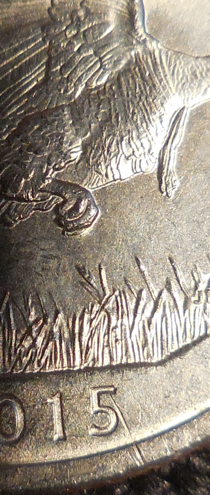 2015-Kisatchie-Quarter-With-Extra-Claw
