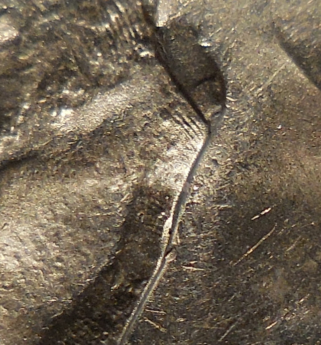 2013-P-South-Dakota-Doubled-Die-Reverses-Updated
