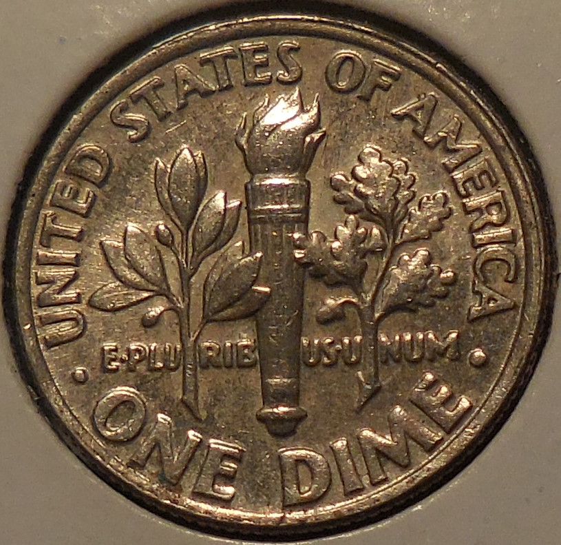 1998-P-Roosevelt-What-Might-This-Be?