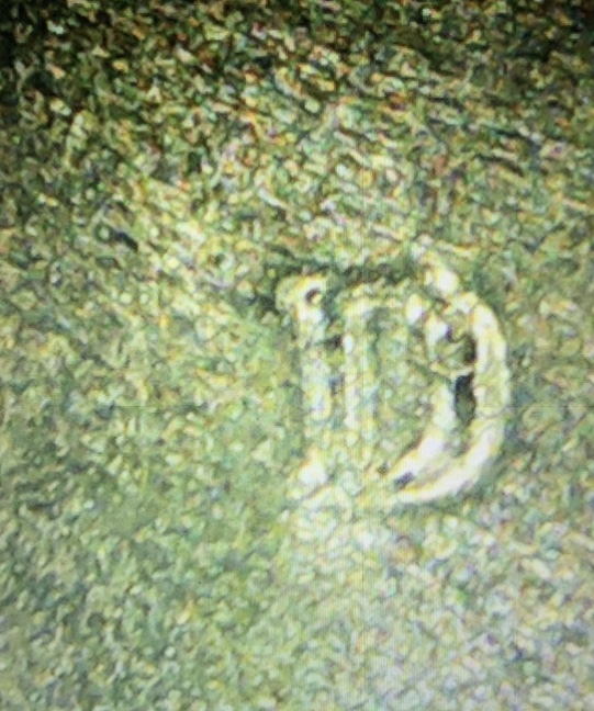 New-To-This-Pls-Help-Ddo?-2019-D-San-Antonio-Missions-Texas-Quarter