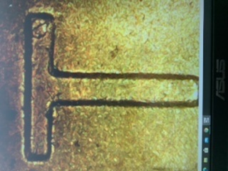 1955-D-Lincoln-Wheat-Cent-Triple-Die-Or-Master-Die-Doubling?-Thank-You!