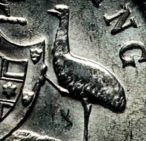 When-Is-Wear,-Wear?-COA-Emu-Focus-Shilling
