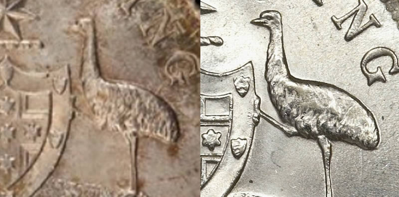 When-Is-Wear,-Wear?-COA-Emu-Focus-Shilling