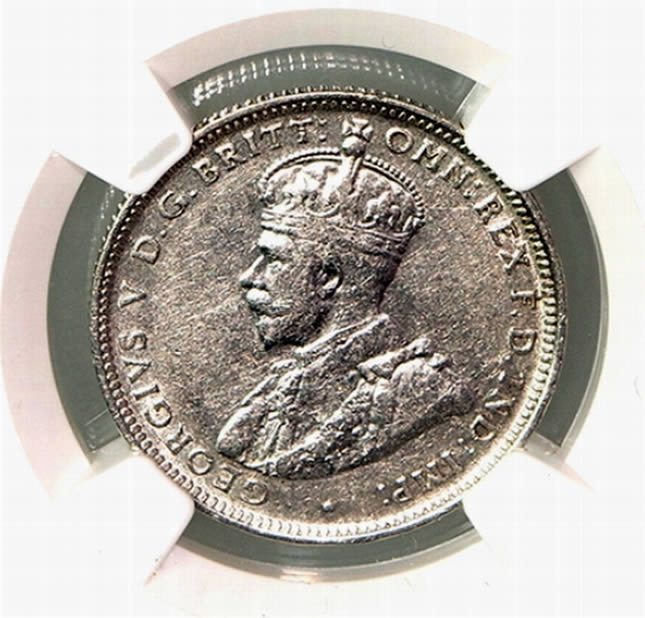When-Is-Wear,-Wear?-COA-Emu-Focus-Shilling