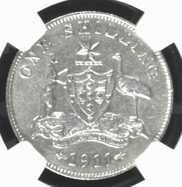 When-Is-Wear,-Wear?-COA-Emu-Focus-Shilling
