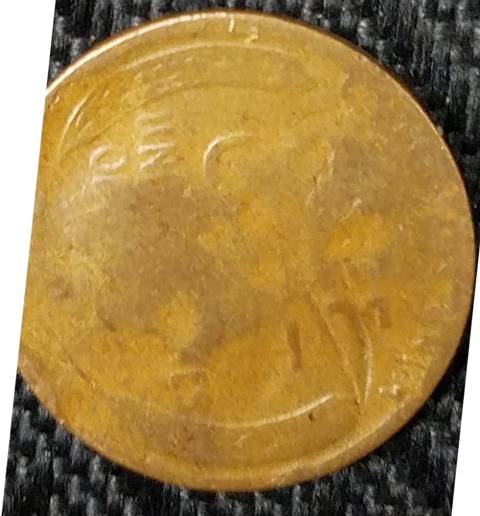 Buffalo-Nickel-&-Wheat-Cent......?-Raised-Buffalo-Over-Abe