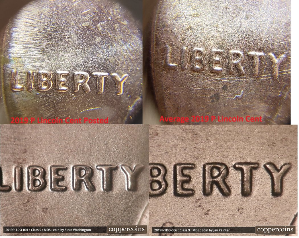 Need-Help-Identifying-This-Shield-Variety-On-2019-P-LSC