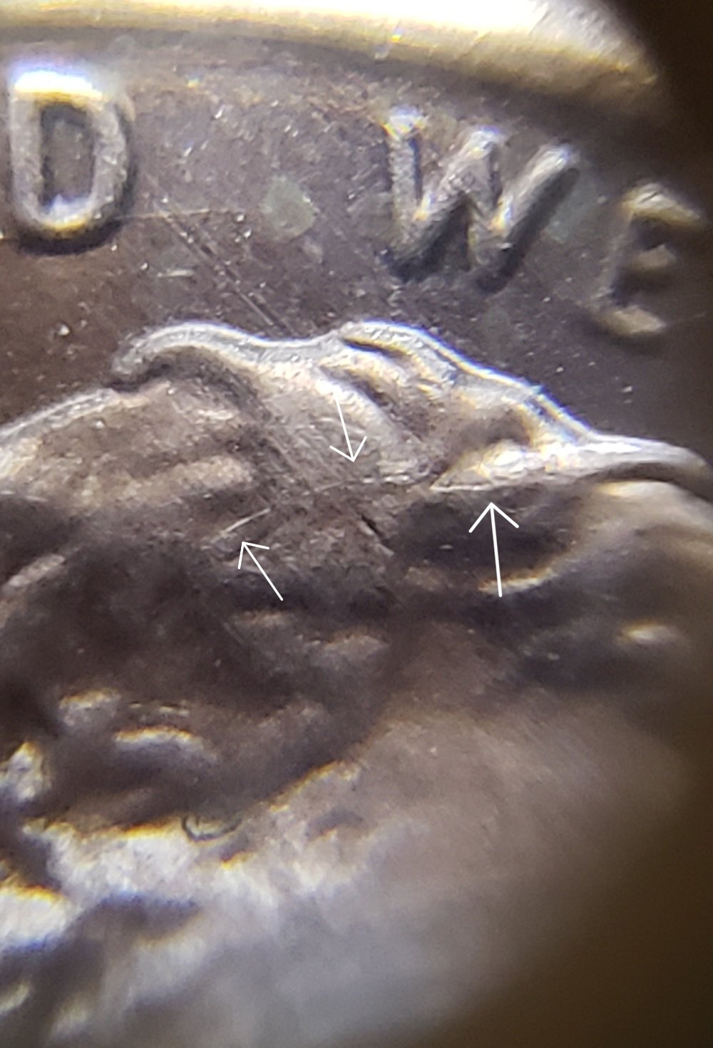 Need-Help-Identifying-This-Shield-Variety-On-2019-P-LSC