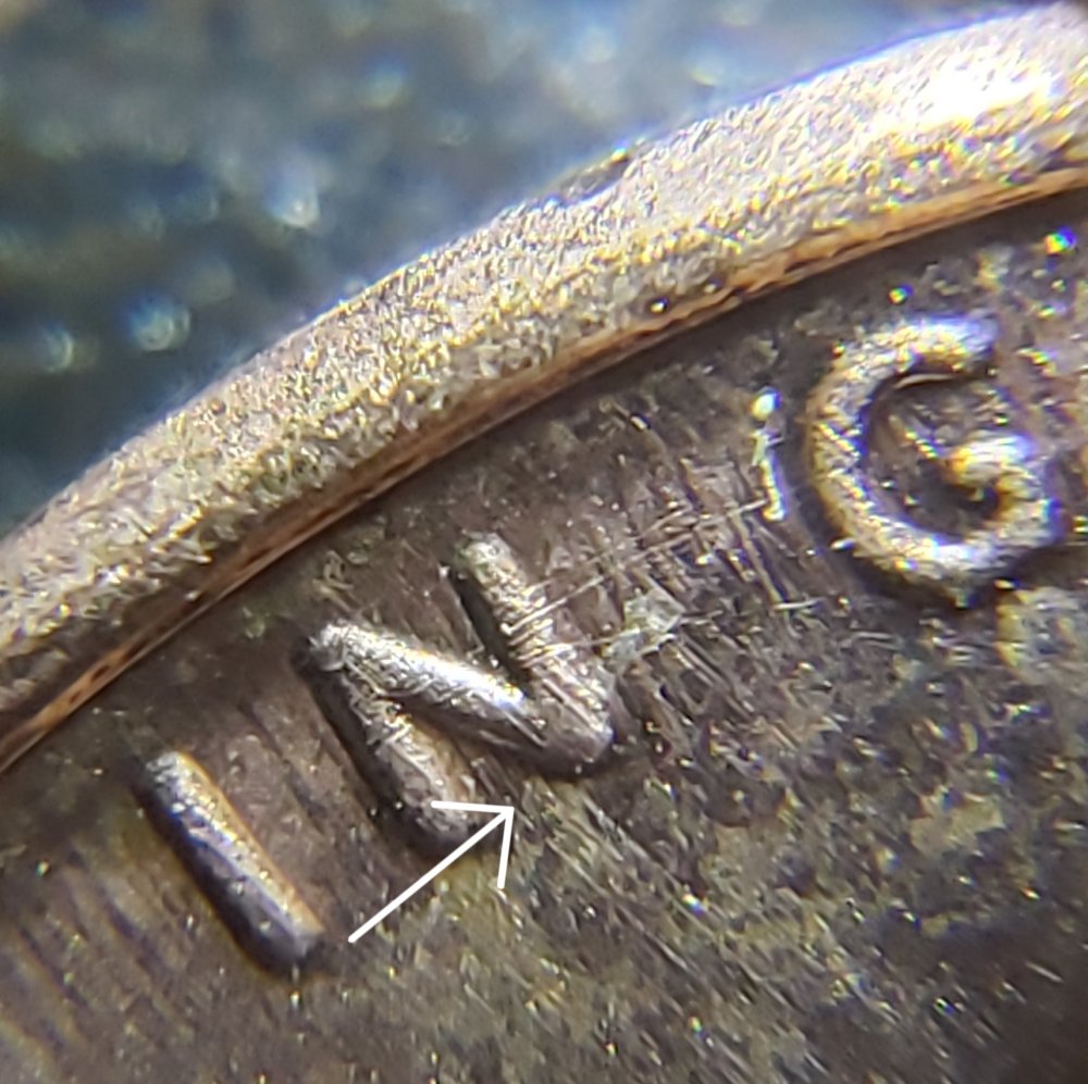 Need-Help-Identifying-This-Shield-Variety-On-2019-P-LSC