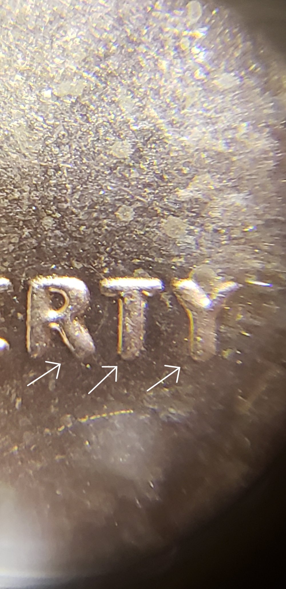 Need-Help-Identifying-This-Shield-Variety-On-2019-P-LSC