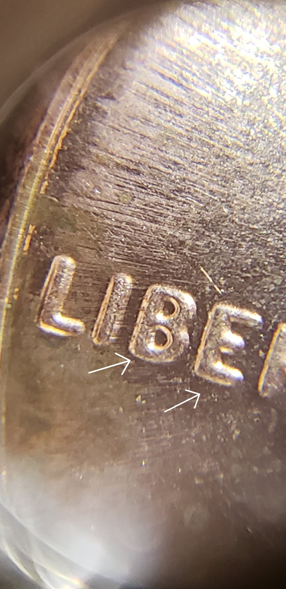 Need-Help-Identifying-This-Shield-Variety-On-2019-P-LSC