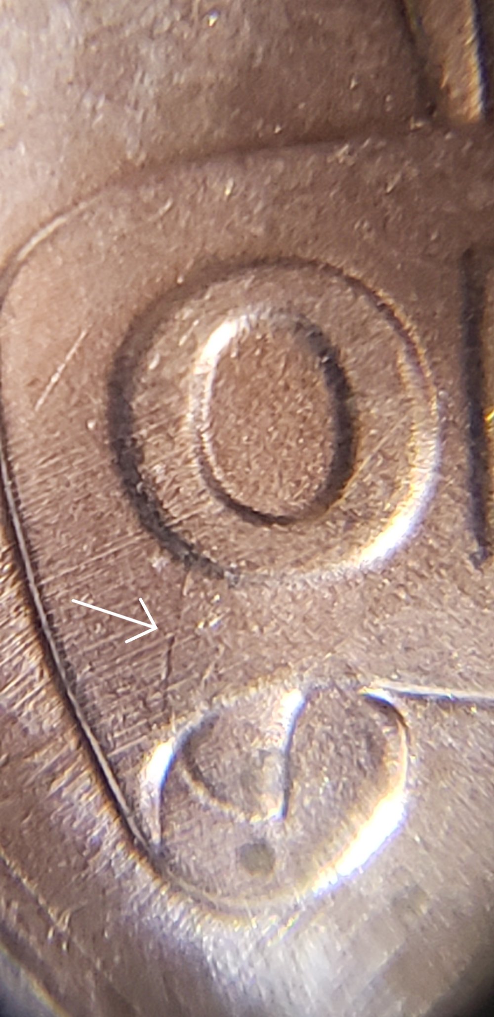 Need-Help-Identifying-This-Shield-Variety-On-2019-P-LSC