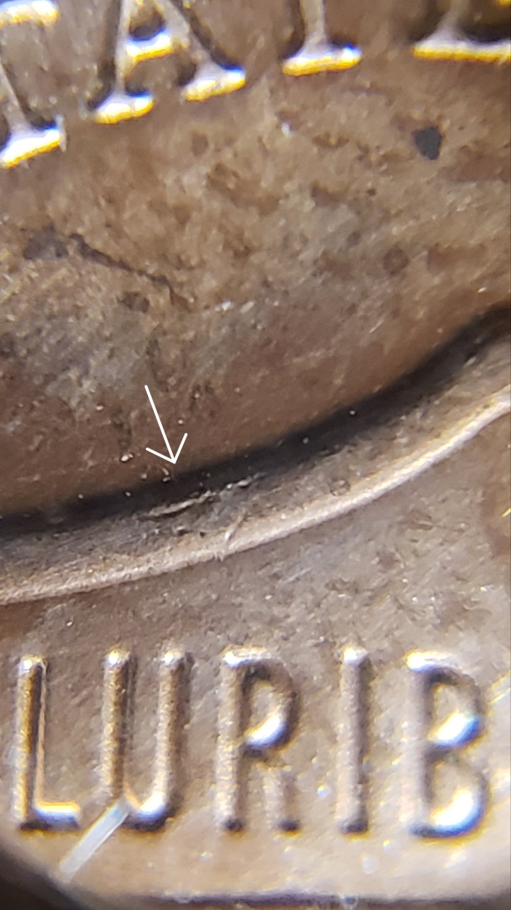 Need-Help-Identifying-This-Shield-Variety-On-2019-P-LSC