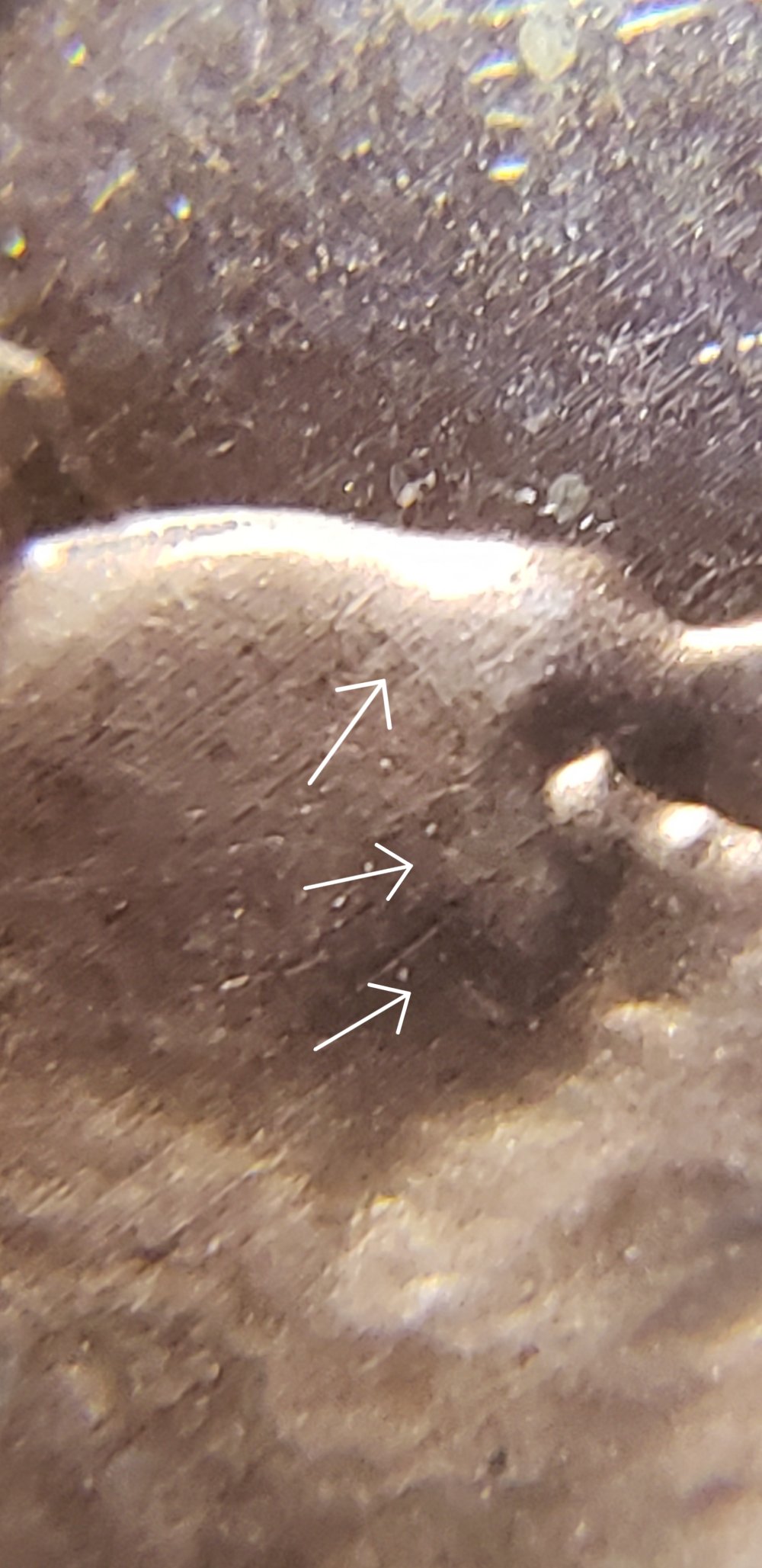Need-Help-Identifying-This-Shield-Variety-On-2019-P-LSC