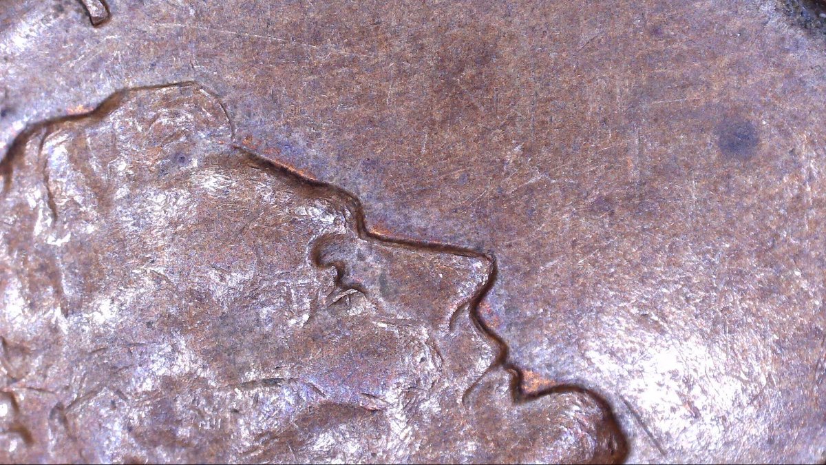 1963-D-LMC-Extra-Eyelid?