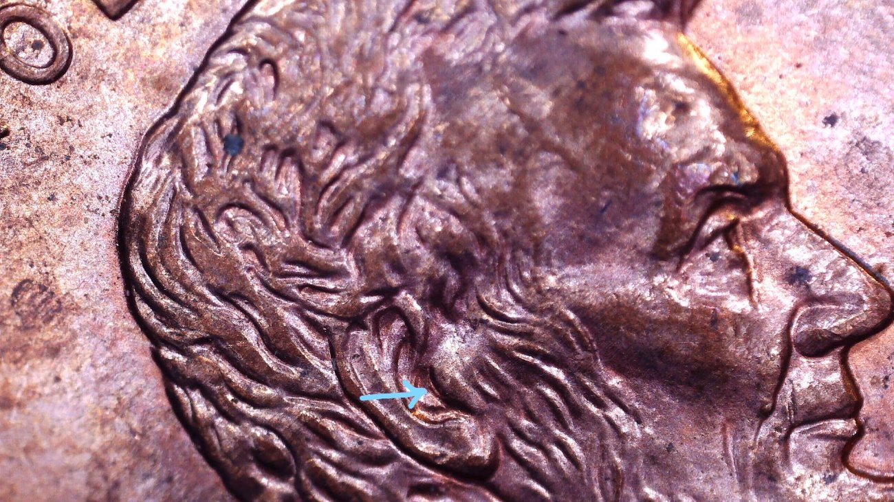 1999-LMC-Doubled-Ear-Specifically-Targus?