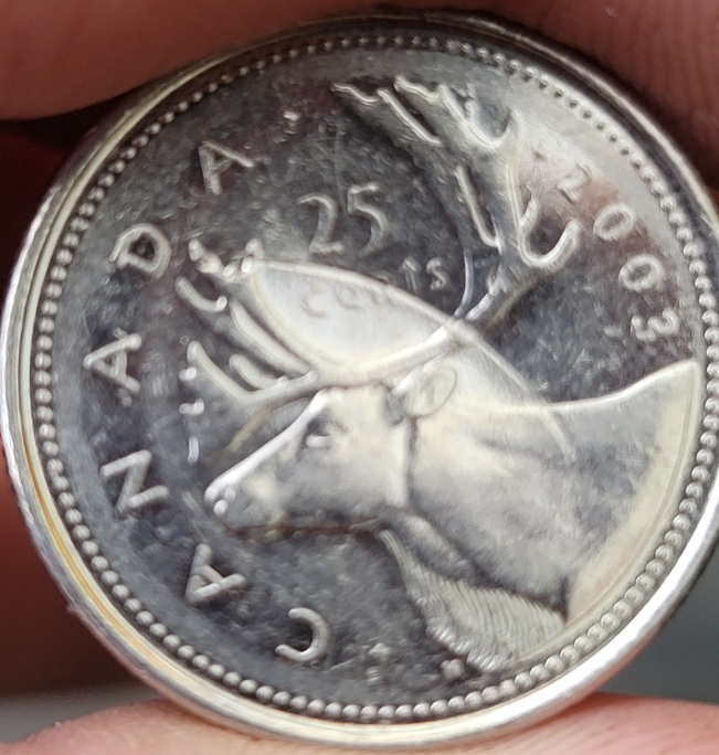 2003-P-Canadian-Coin-Struck-Through?