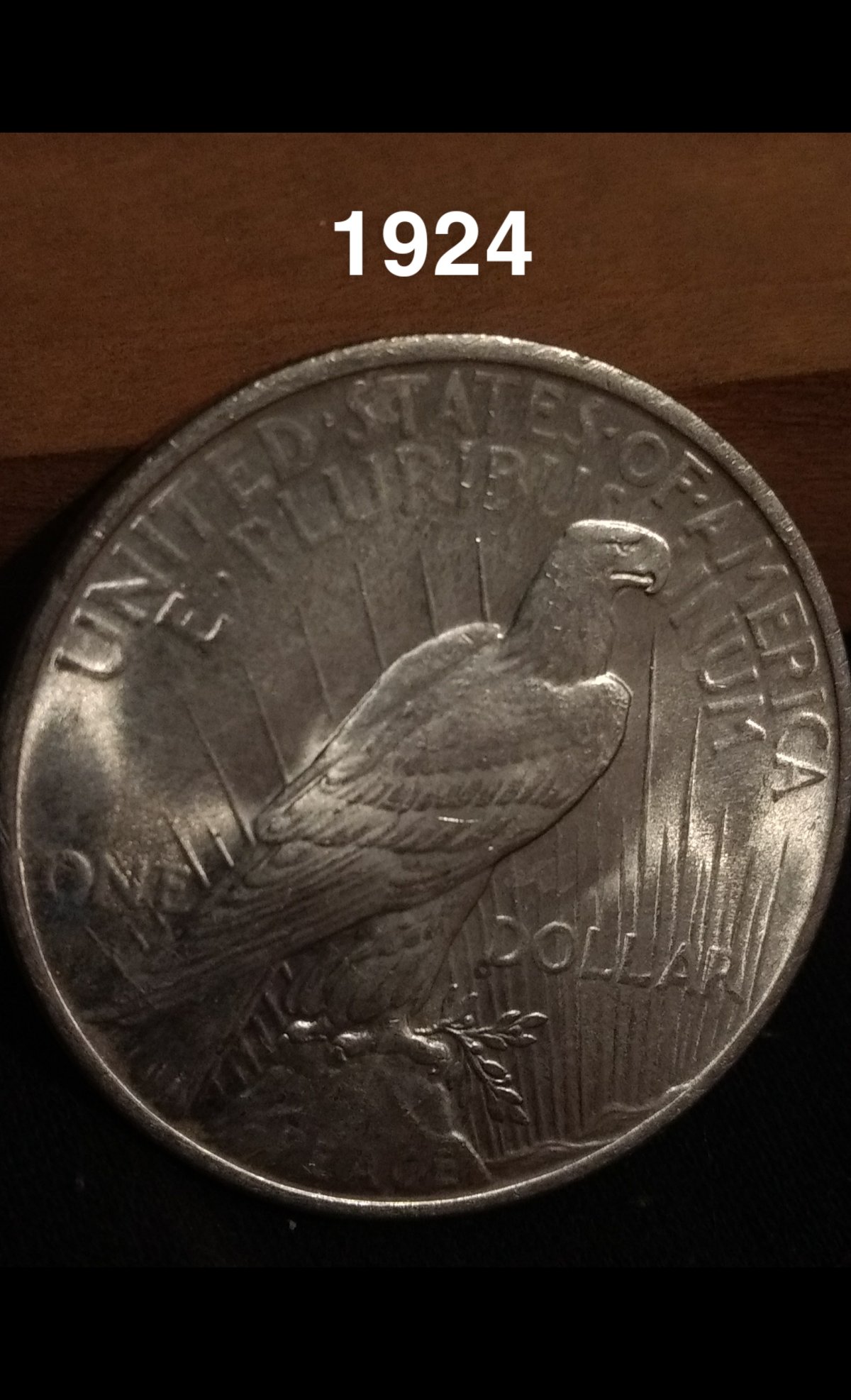 1924-Peace-Dollar-To-Be-Graded