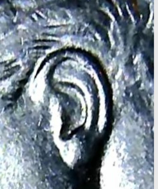 1986-P-Roosevelt-Dime.-Spike-Head.