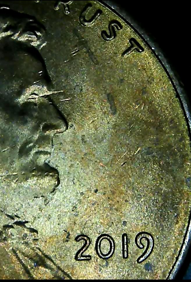 2019-LSC.-Double-Die-Plus?