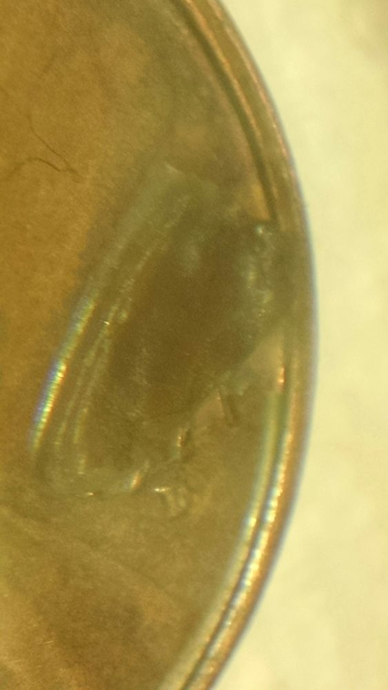 Is-This-A-Big-Cud-On-This-?--Looks-Like-Possible-1971-D-With-Cud-Over-Date?